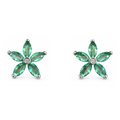 Aros Flor con Cinco Pétalos de Plata 925