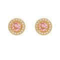 Aro Roseta Rosa Enchapado en Oro de 18k